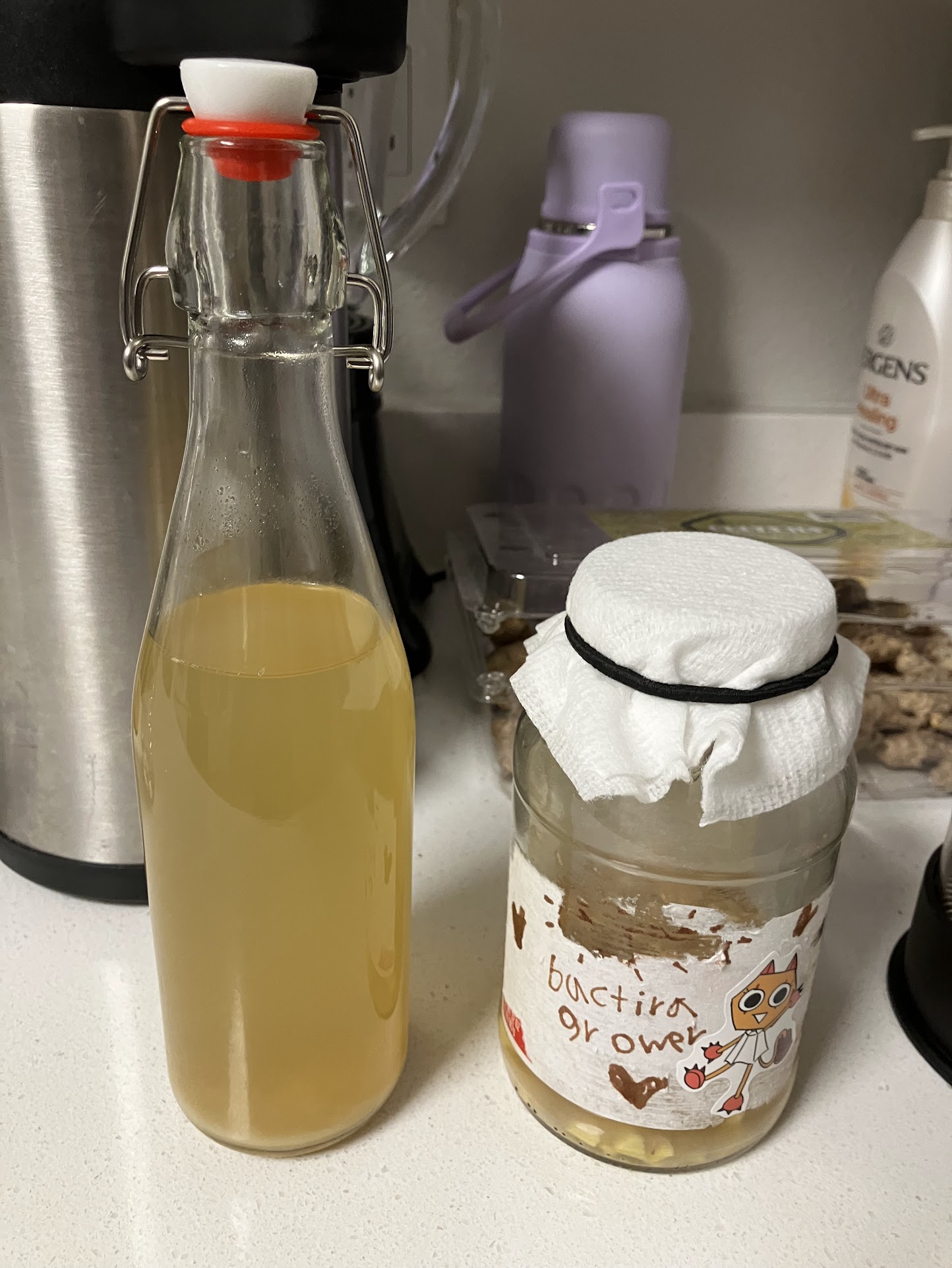 Glass bottles containing a home-cultured microbial drink